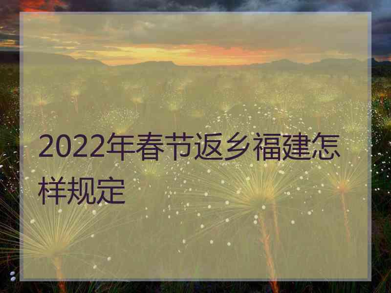 2022年春节返乡福建怎样规定