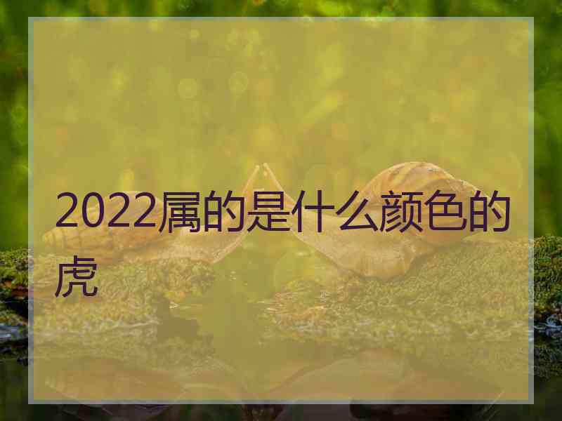 2022属的是什么颜色的虎