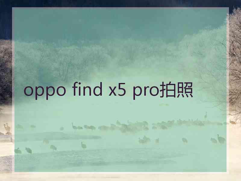 oppo find x5 pro拍照