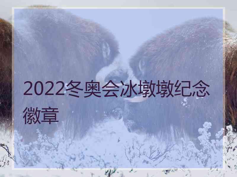 2022冬奥会冰墩墩纪念徽章