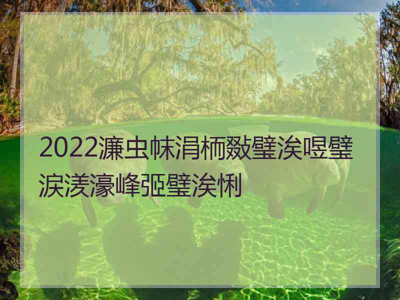 2022濂虫帓涓栭敠璧涘喅璧涙湵濠峰弬璧涘悧