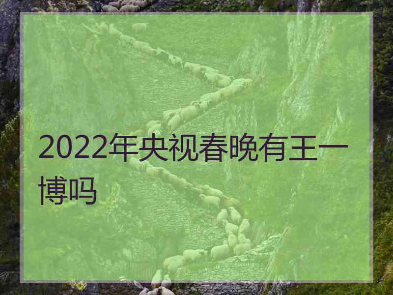 2022年央视春晚有王一博吗