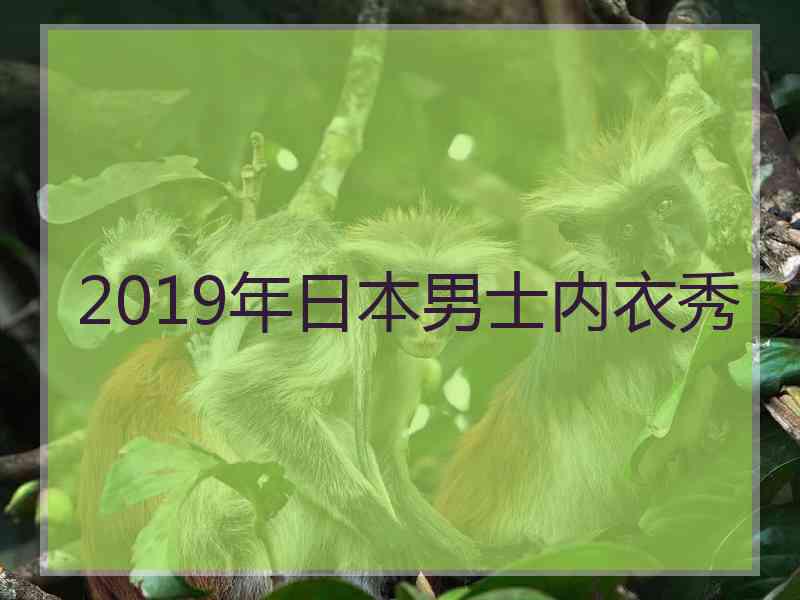 2019年日本男士内衣秀