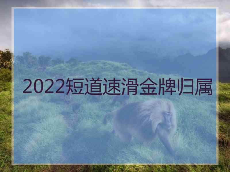 2022短道速滑金牌归属