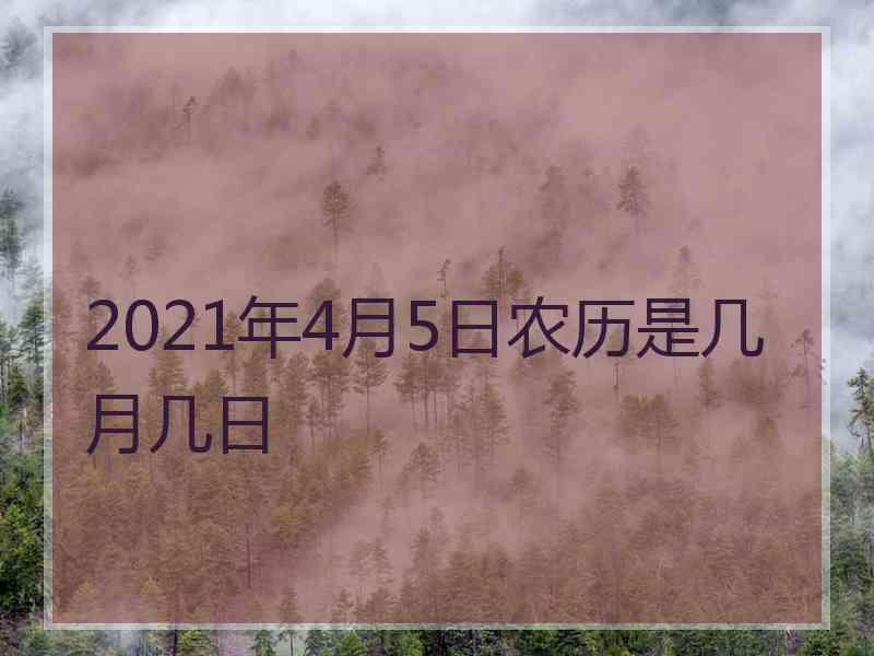 2021年4月5日农历是几月几日