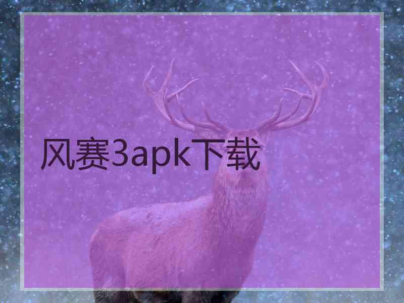 风赛3apk下载