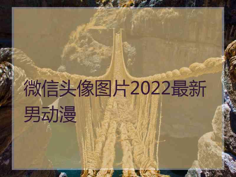 微信头像图片2022最新男动漫