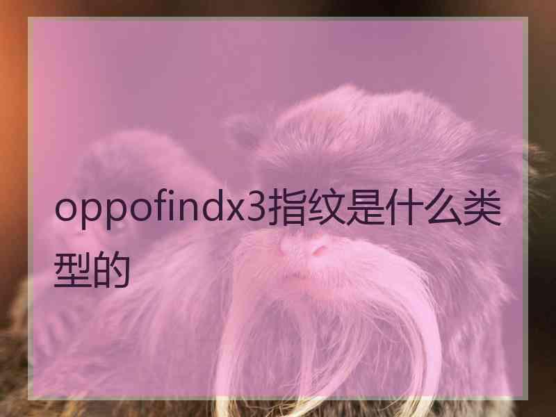 oppofindx3指纹是什么类型的