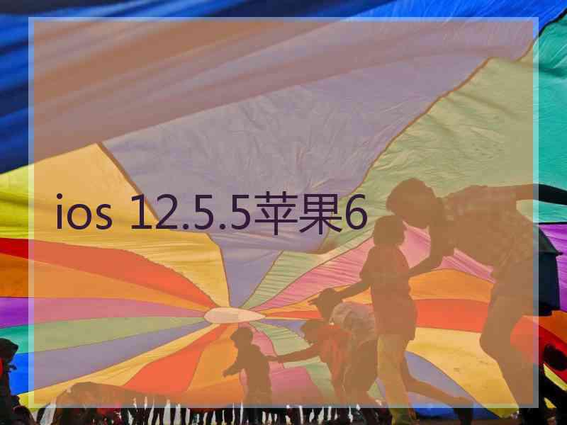 ios 12.5.5苹果6