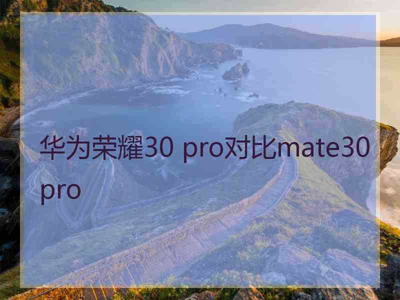 华为荣耀30 pro对比mate30pro