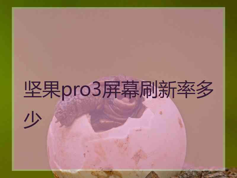 坚果pro3屏幕刷新率多少