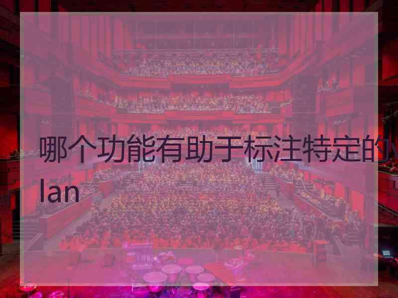 哪个功能有助于标注特定的vlan