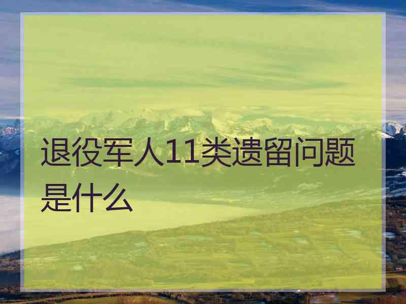 退役军人11类遗留问题是什么