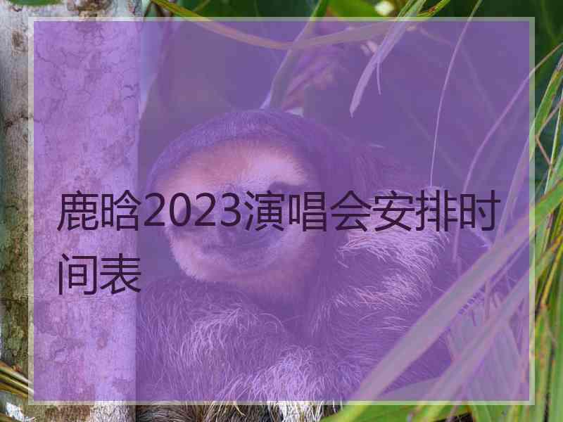 鹿晗2023演唱会安排时间表