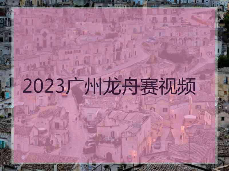 2023广州龙舟赛视频