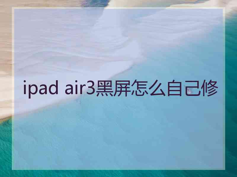 ipad air3黑屏怎么自己修