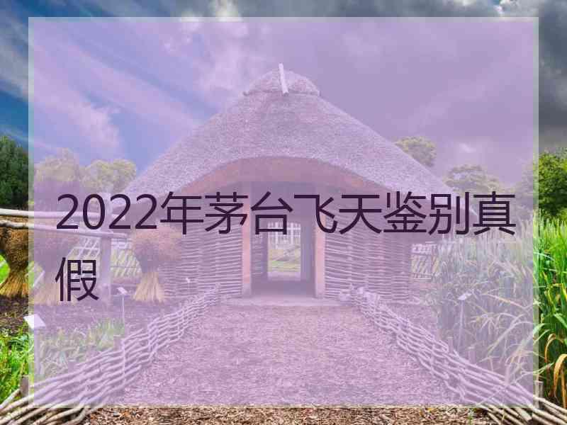 2022年茅台飞天鉴别真假