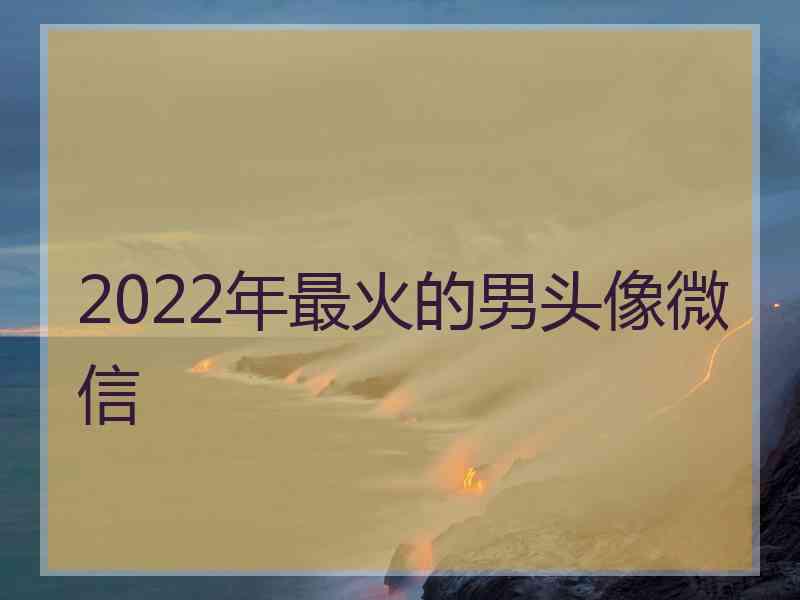 2022年最火的男头像微信