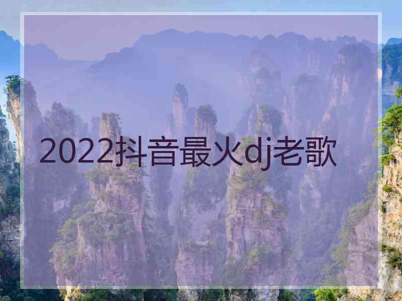 2022抖音最火dj老歌