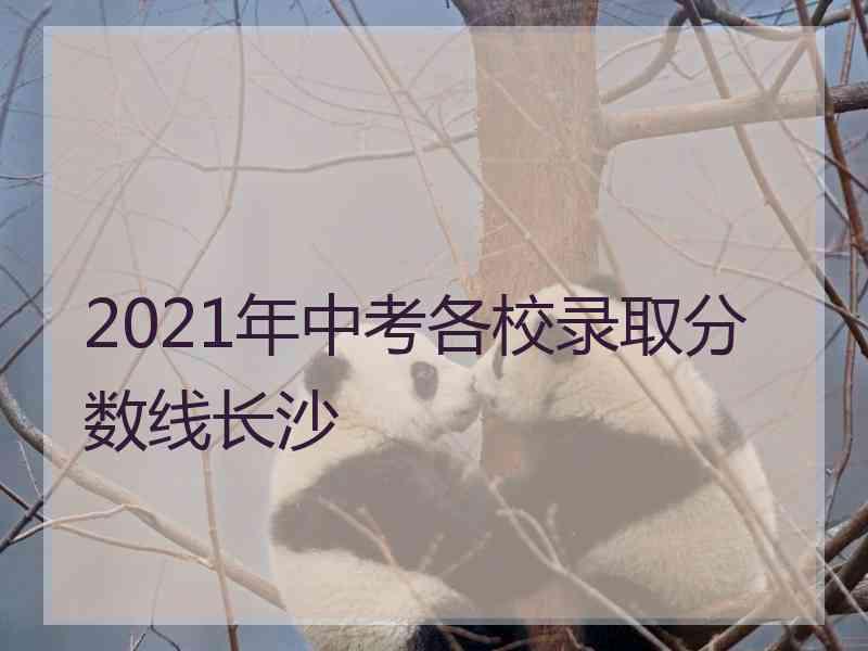 2021年中考各校录取分数线长沙