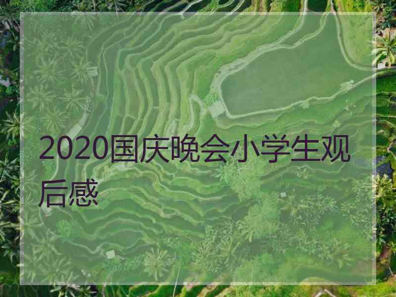 2020国庆晚会小学生观后感