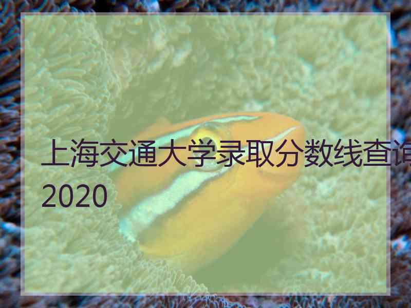 上海交通大学录取分数线查询2020