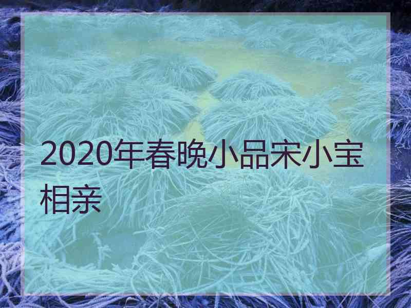 2020年春晚小品宋小宝相亲