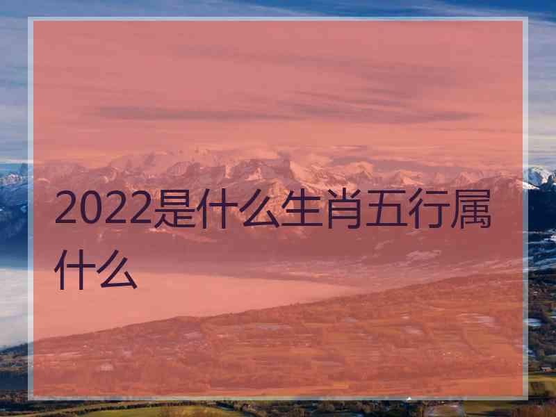 2022是什么生肖五行属什么