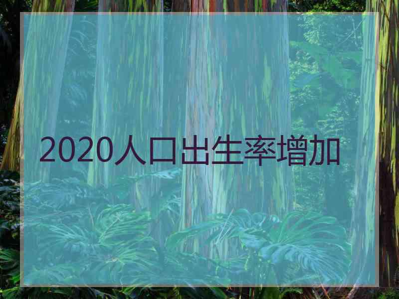 2020人口出生率增加