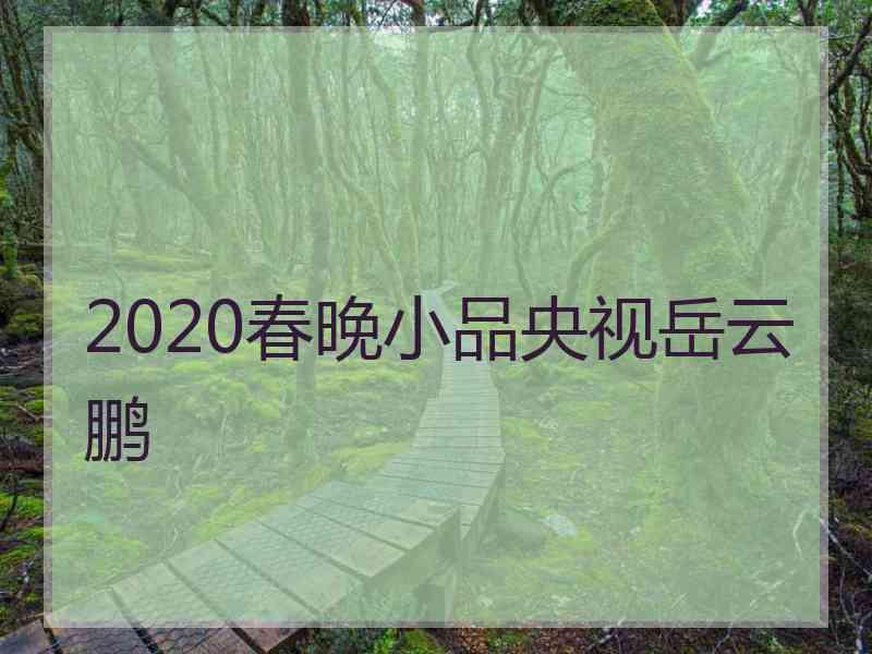 2020春晚小品央视岳云鹏