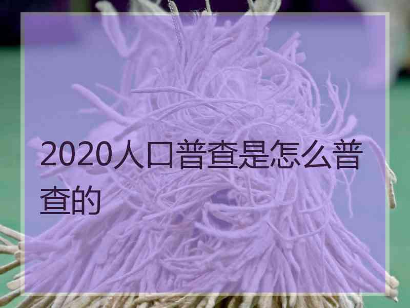 2020人口普查是怎么普查的