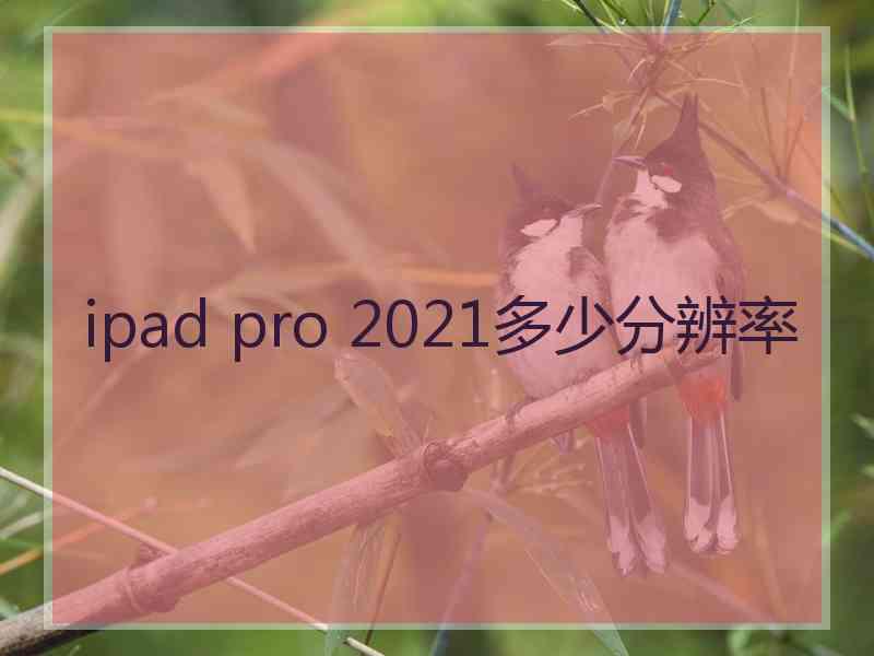 ipad pro 2021多少分辨率