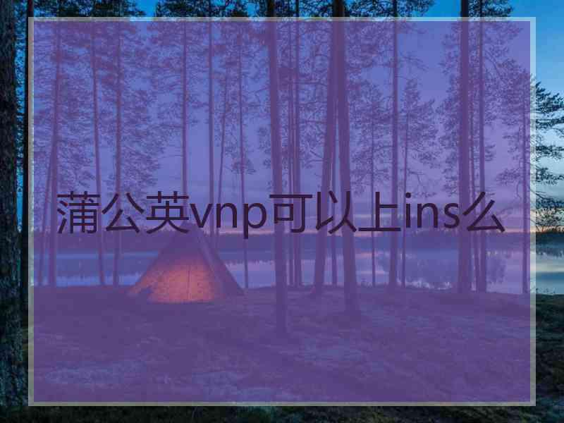 蒲公英vnp可以上ins么