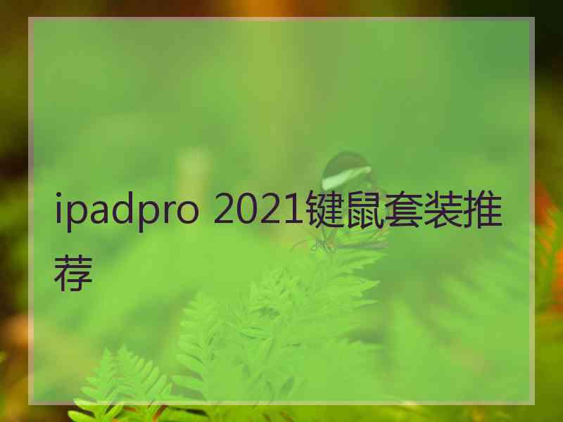 ipadpro 2021键鼠套装推荐