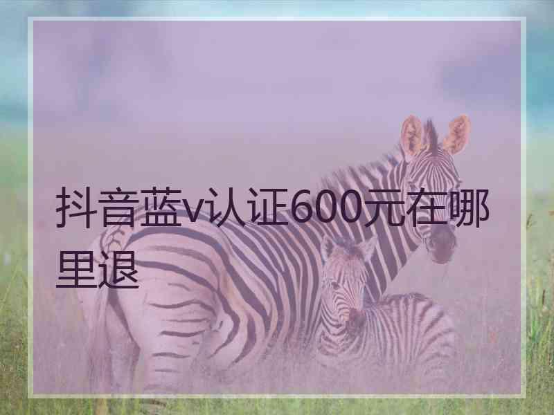 抖音蓝v认证600元在哪里退