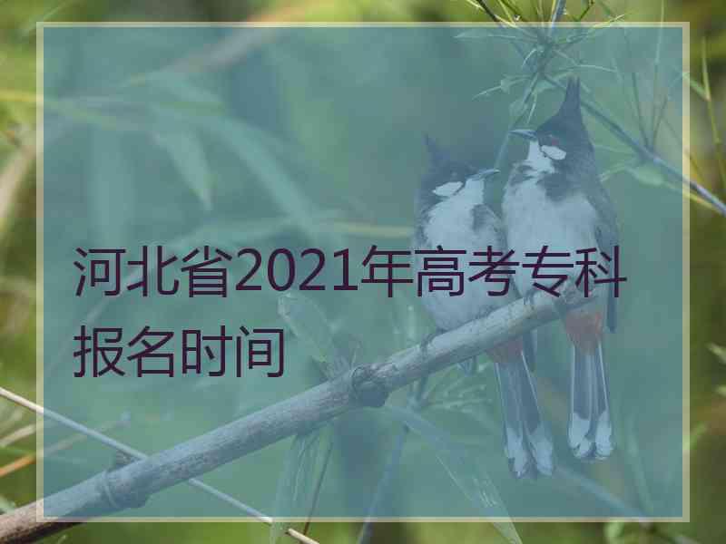 河北省2021年高考专科报名时间