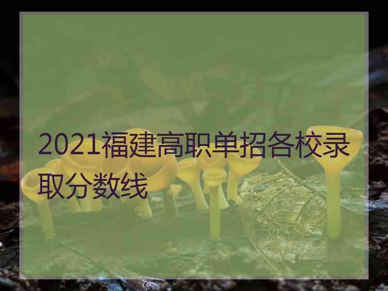 2021福建高职单招各校录取分数线