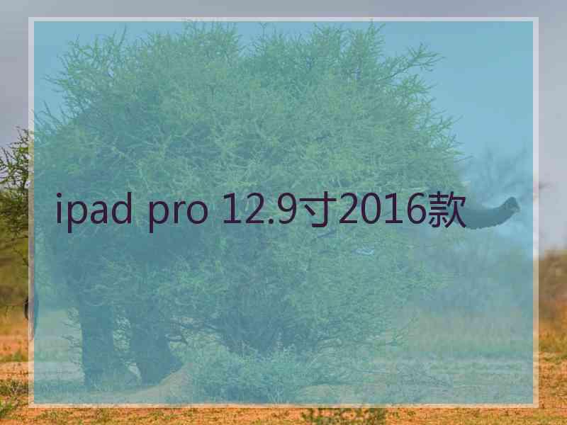 ipad pro 12.9寸2016款