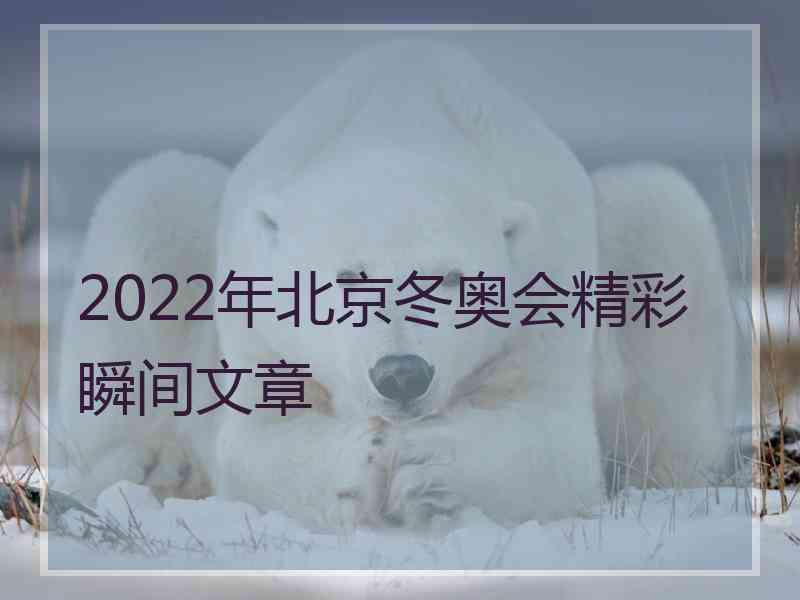 2022年北京冬奥会精彩瞬间文章