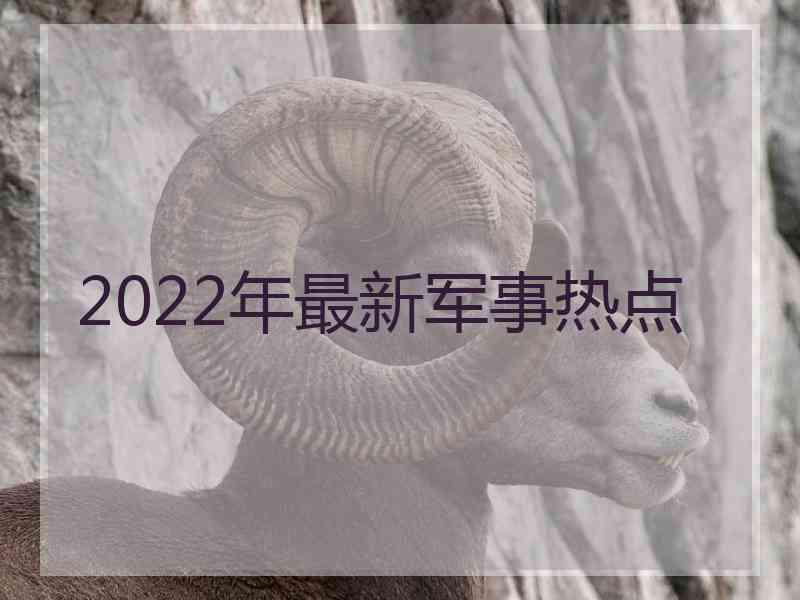 2022年最新军事热点