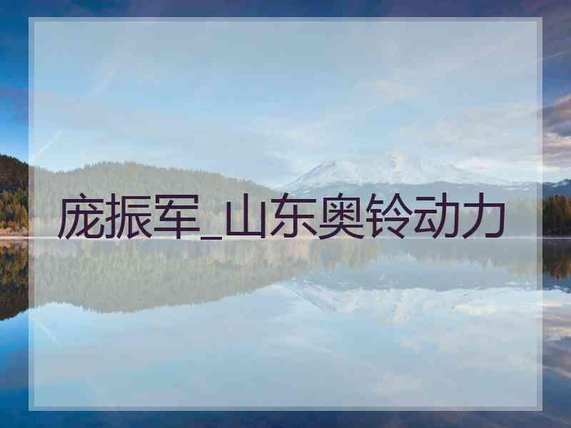 庞振军_山东奥铃动力