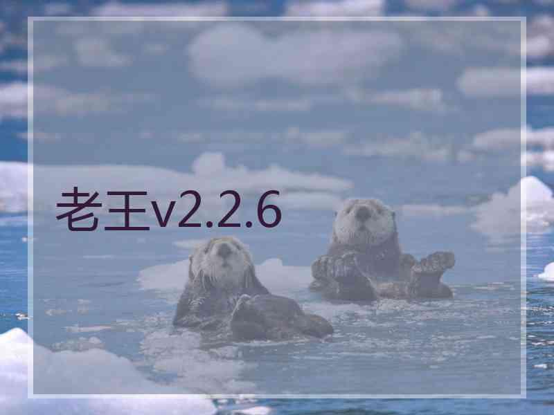 老王v2.2.6