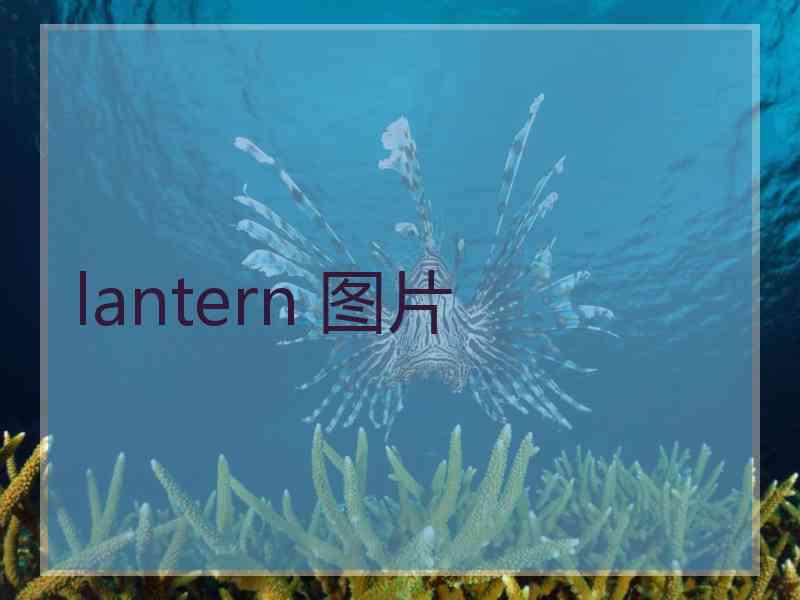 lantern 图片