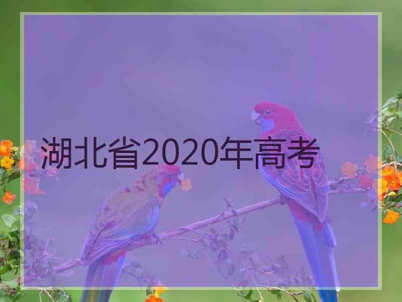 湖北省2020年高考