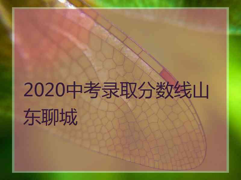 2020中考录取分数线山东聊城