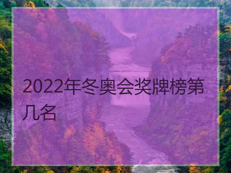 2022年冬奥会奖牌榜第几名