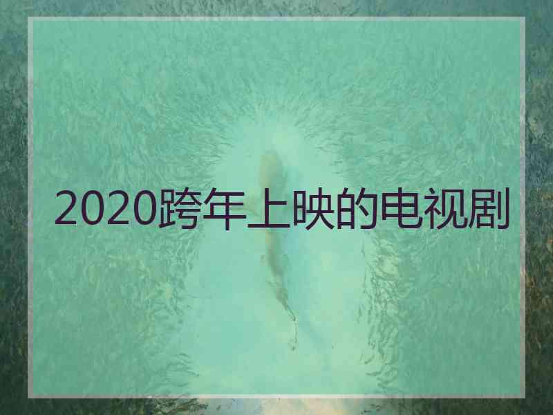 2020跨年上映的电视剧