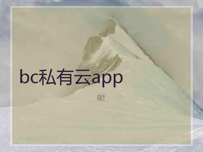 bc私有云app