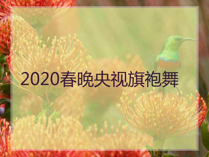 2020春晚央视旗袍舞