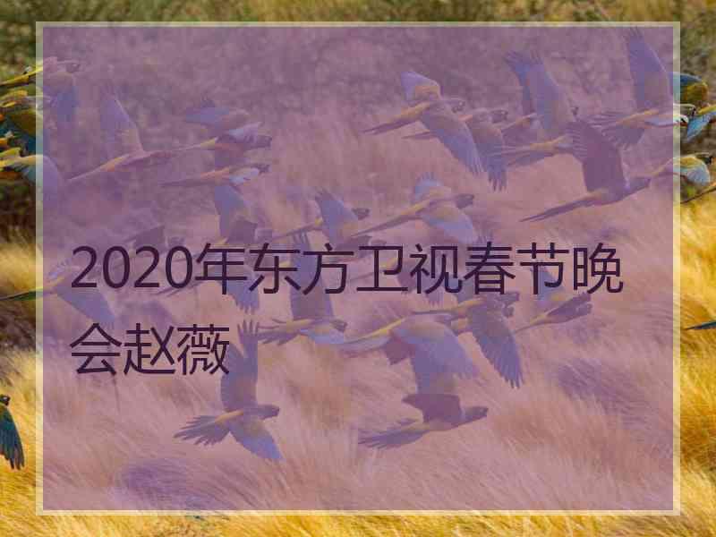 2020年东方卫视春节晚会赵薇